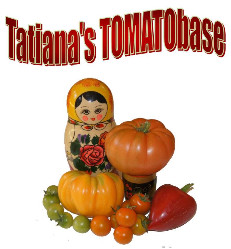 Tatiana’s Tomatobase