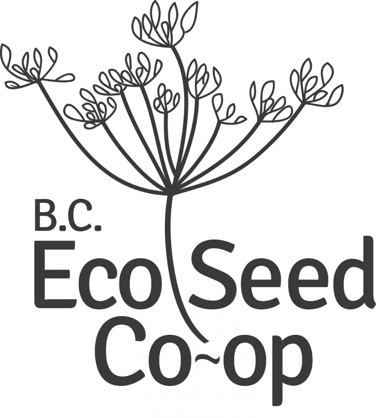 Seedy Partner Profile: BC Eco Seed Co-op