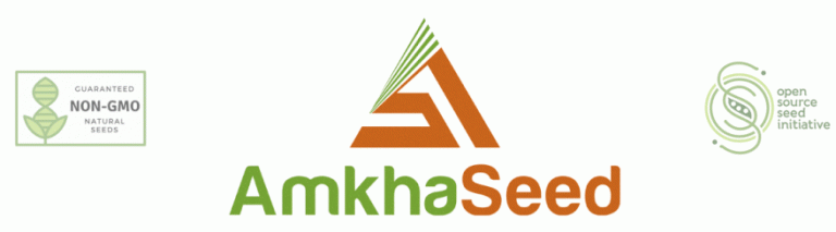 Seedy Partner Profile: Amkha Seed