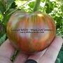 Dwarf Noah's Stripes tomato