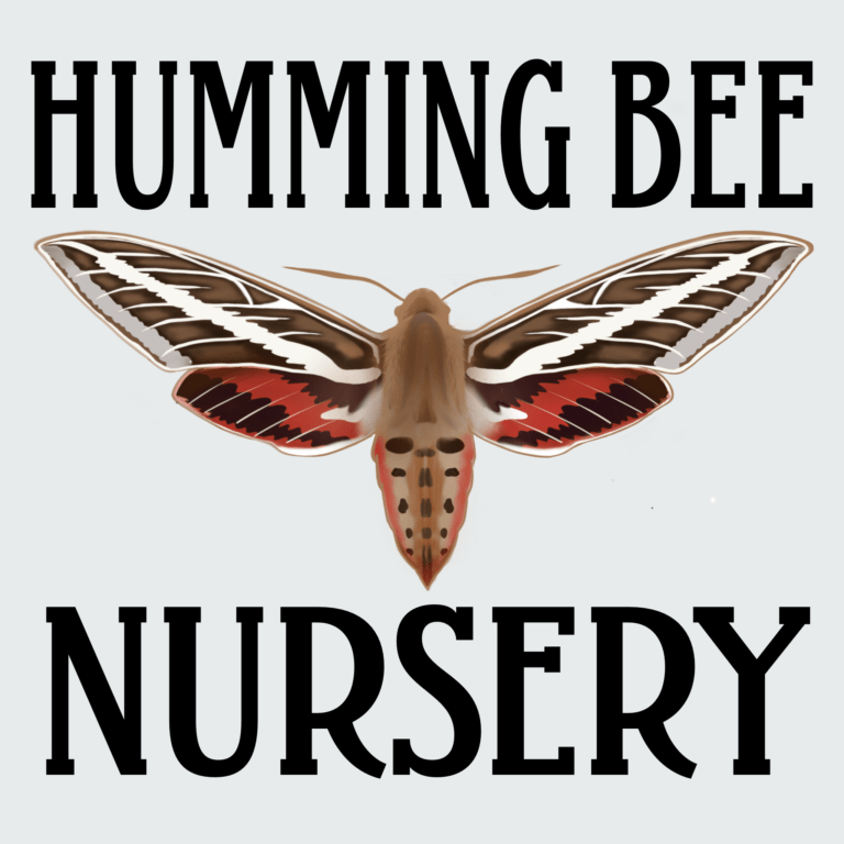 Humming Bee Nursery