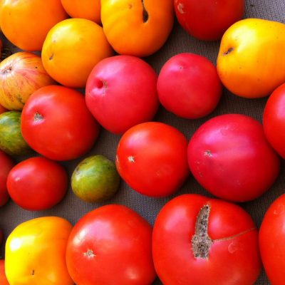 Open Source Tomatoes