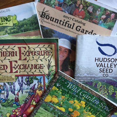 It's Seed Catalog Season!