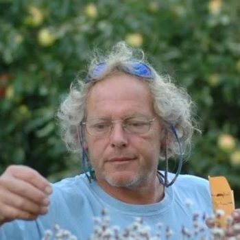 frank-lettuce-square1