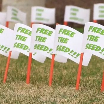 free-the-seed-square2